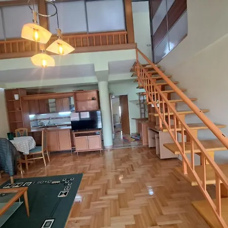 Sunny Duplex With Vodno View And Tour Guide Host