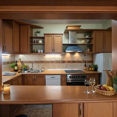 Sunny Duplex With Vodno View And Tour Guide Host
