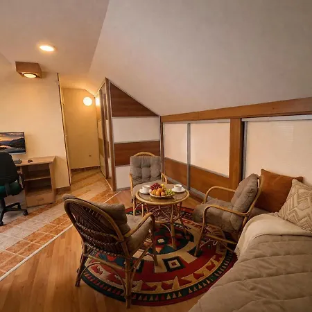 Sunny Duplex With Vodno View And Tour Guide Host *