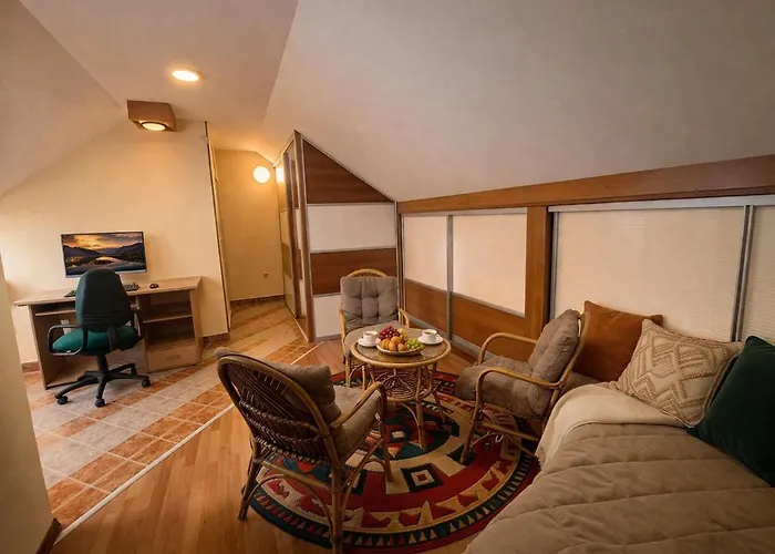 Sunny Duplex With Vodno View And Tour Guide Host *